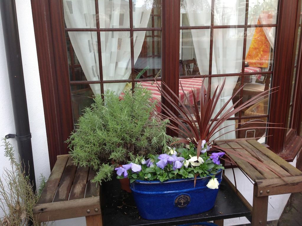 The Laurels Bed And Breakfast Cardiff Eksteriør billede